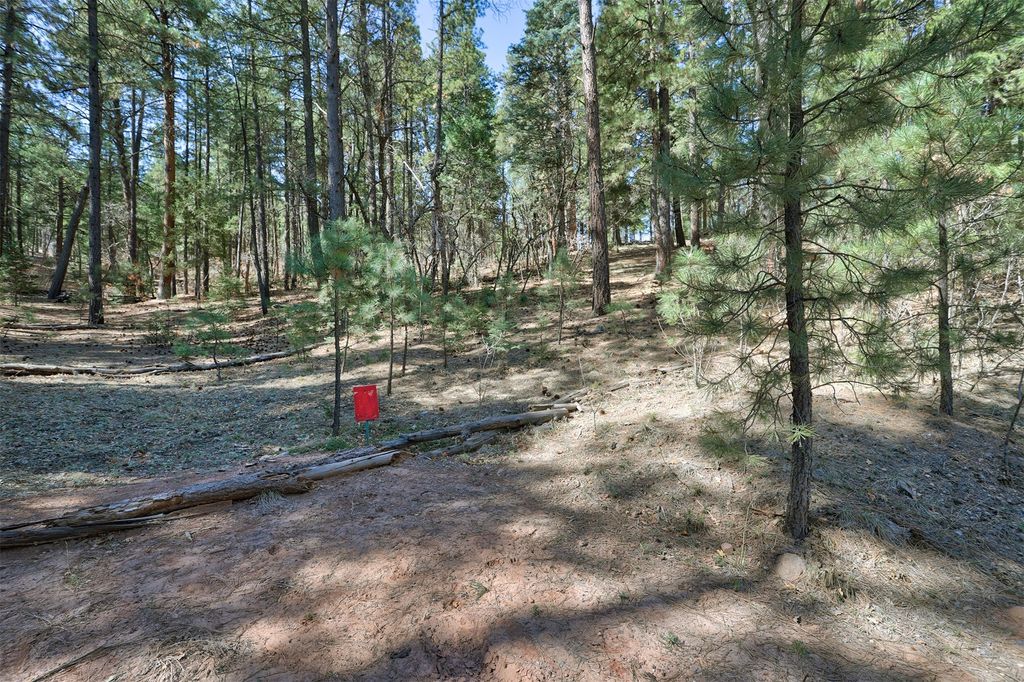 Image 9 of property listing at Lot B Lands of Hotchkiss FR 10, Jemez Springs, NM 87025