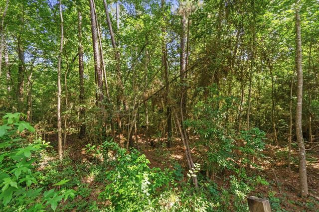 165 Black Walnut, Livingston, TX 77351