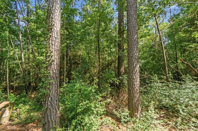 165 Black Walnut, Livingston, TX 77351