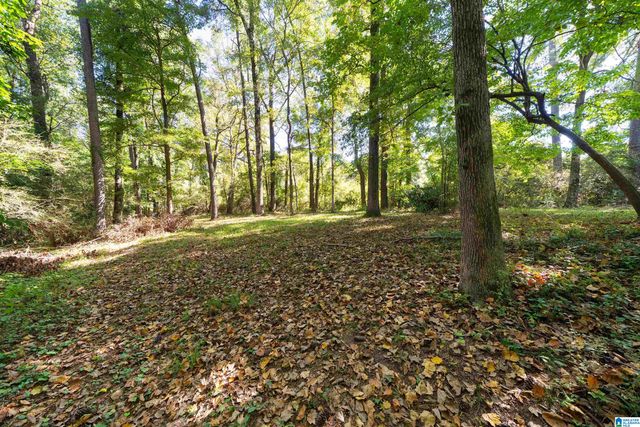 2900 VETERANS MEMORIAL DRIVE W, Adamsville, AL 35005
