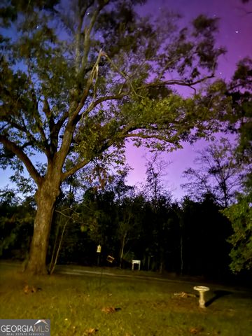 1066 Millen Hiltonia Road, Sylvania, GA 30467