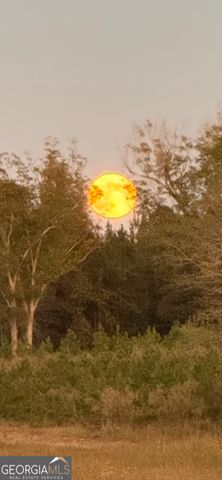 1066 Millen Hiltonia Road, Sylvania, GA 30467