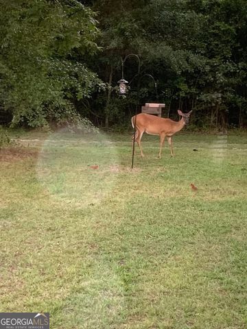 1066 Millen Hiltonia Road, Sylvania, GA 30467