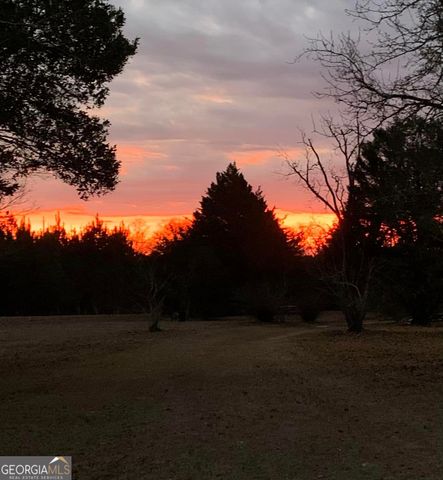 1066 Millen Hiltonia Road, Sylvania, GA 30467