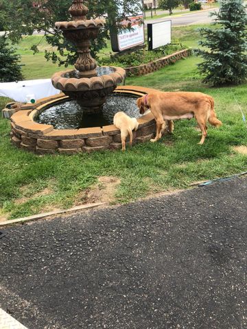 1435 Anne Street NW, Bemidji, MN 56601