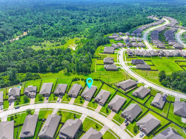 24322 S Newcastle Bay Trail, Spring, TX 77389