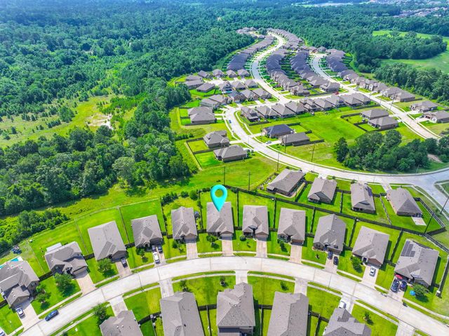 24322 S Newcastle Bay Trail, Spring, TX 77389