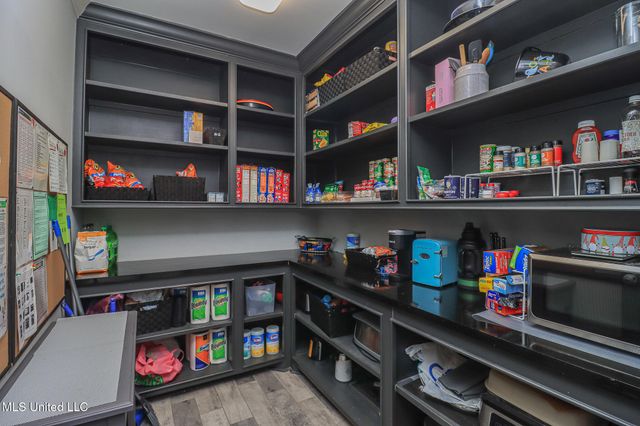 113 Trails End, Flora, MS 39071