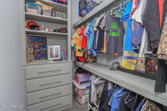 113 Trails End, Flora, MS 39071