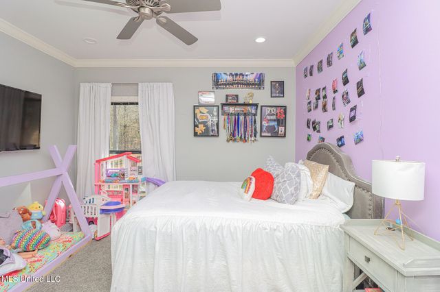 113 Trails End, Flora, MS 39071