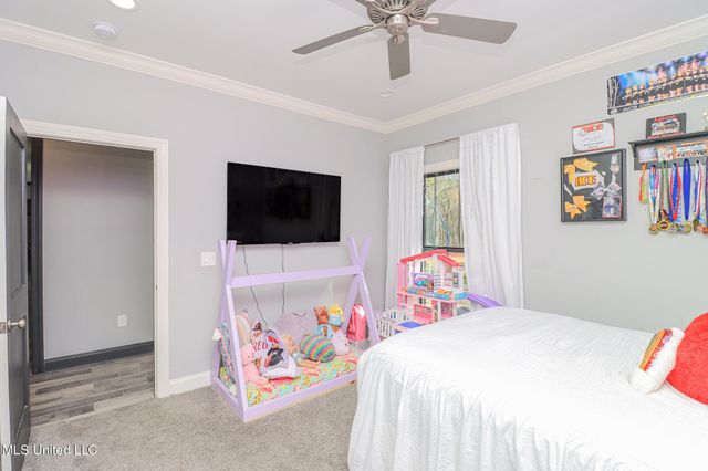 113 Trails End, Flora, MS 39071