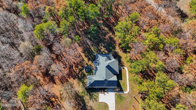 113 Trails End, Flora, MS 39071