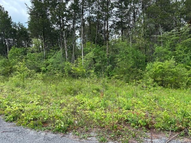 48 Mooreland Drive, Lawrenceburg, KY 40342