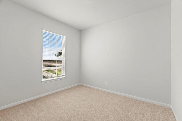 8918 Mystery Stone Drive, Iowa Colony, TX 77583