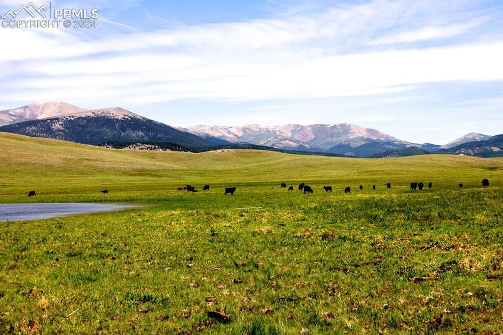 21103 Elkhorn Road, Como, CO 80456 — photo 4
