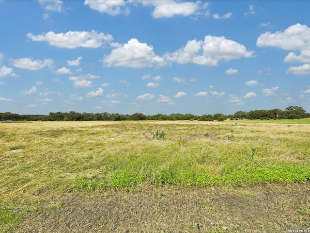 733 Annabelle Avenue, Bulverde, TX 78163