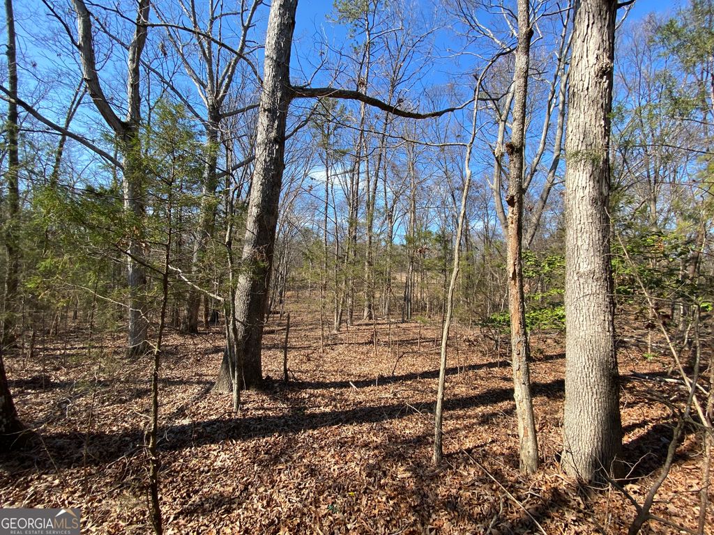 LOT 6 Majestic Shores Road, Hartwell, GA 30643 — exterior
