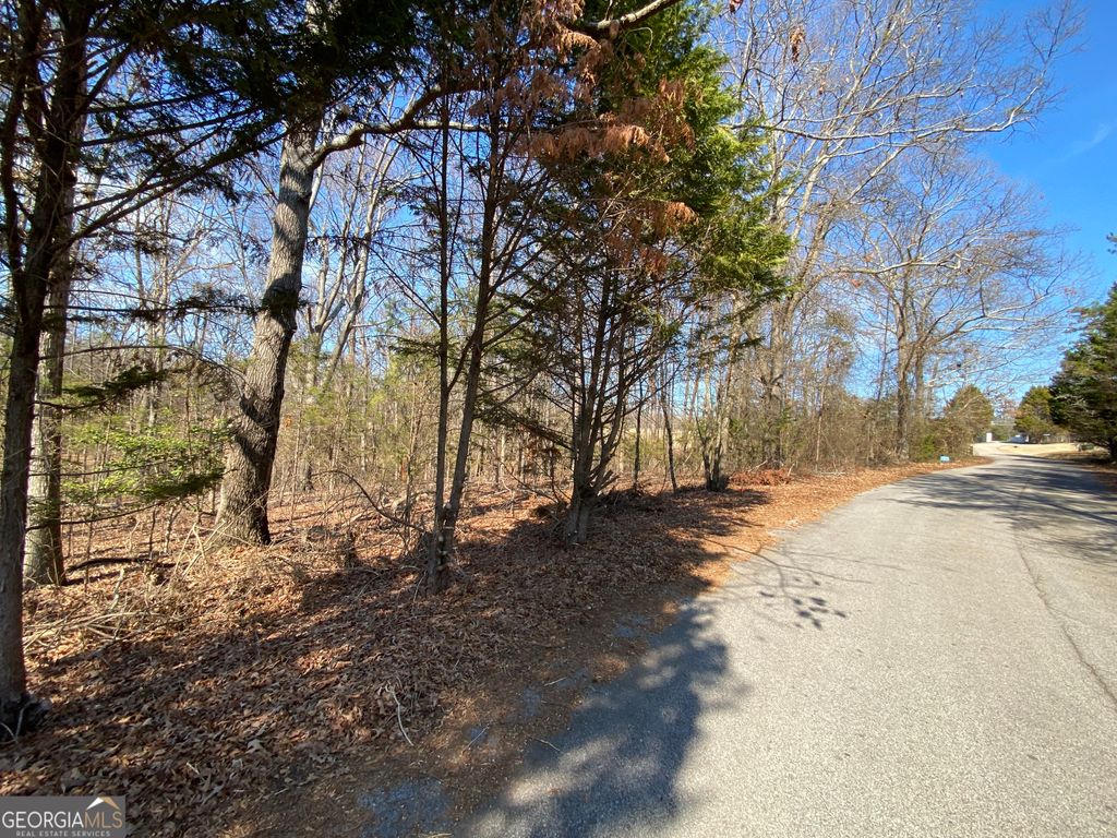 LOT 6 Majestic Shores Road, Hartwell, GA 30643 — photo 2