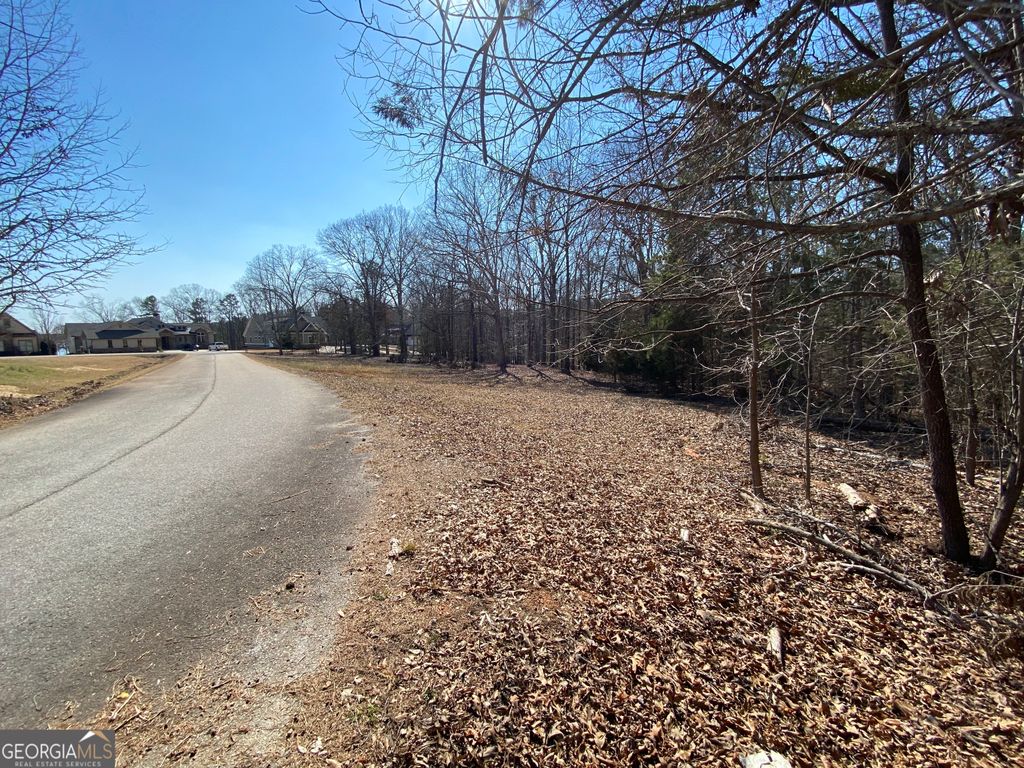 LOT 6 Majestic Shores Road, Hartwell, GA 30643 — photo 3