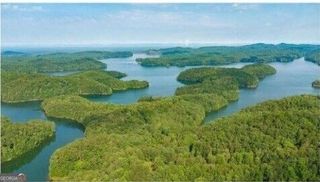 0 Carter View Drive, Ellijay, GA 30540