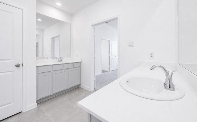 29014 Red Loop Drive, New Caney, TX 77357