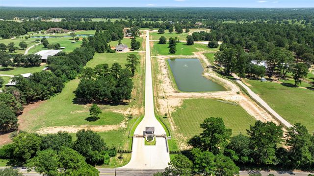 208 Rolling Oaks Drive, Hockley, TX 77447