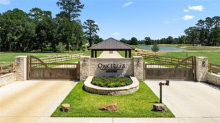 208 Rolling Oaks Drive, Hockley, TX 77447