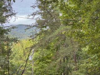 335 Taylor Road, Turtletown, TN 37391