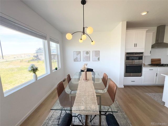 8812 Whiteclover St, Littleton, CO 80125