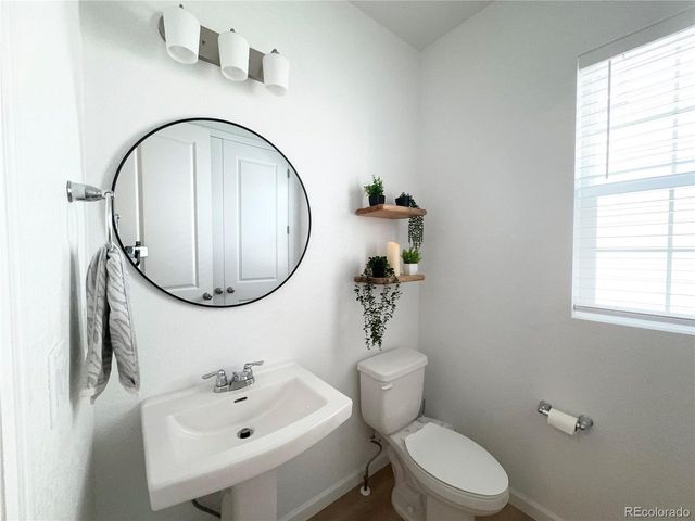 8812 Whiteclover St, Littleton, CO 80125
