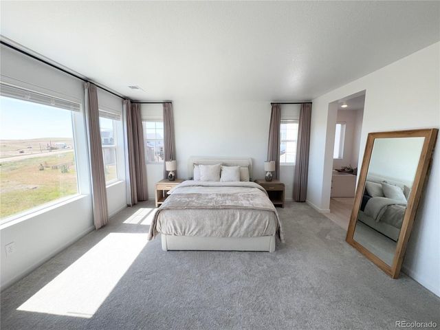 8812 Whiteclover St, Littleton, CO 80125