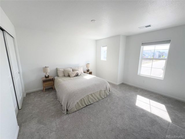 8812 Whiteclover St, Littleton, CO 80125
