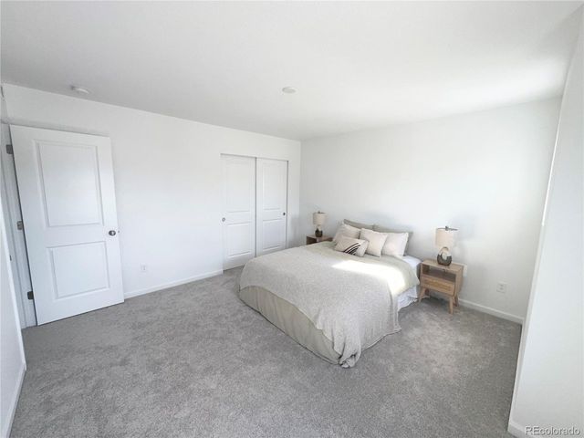 8812 Whiteclover St, Littleton, CO 80125