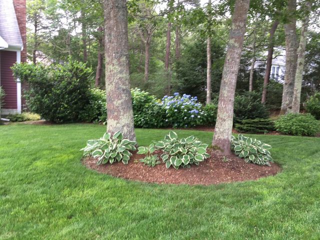 46 Snead Drive, Mashpee, MA 02649