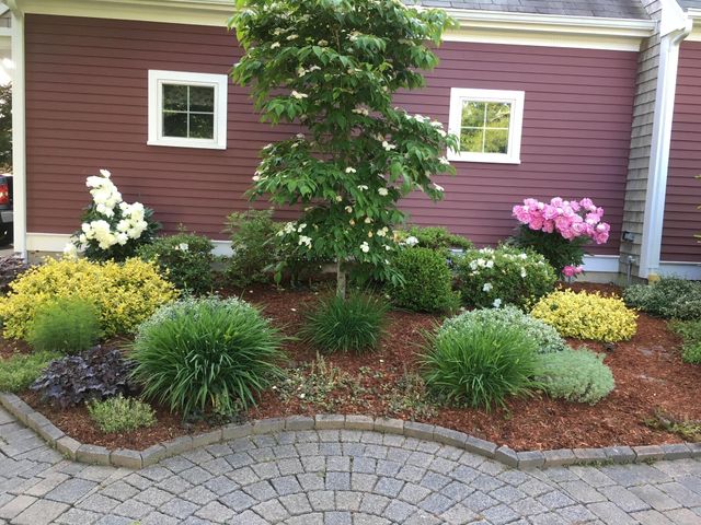 46 Snead Drive, Mashpee, MA 02649