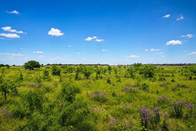 1804 Mensa Drive, Haslet, TX 76052