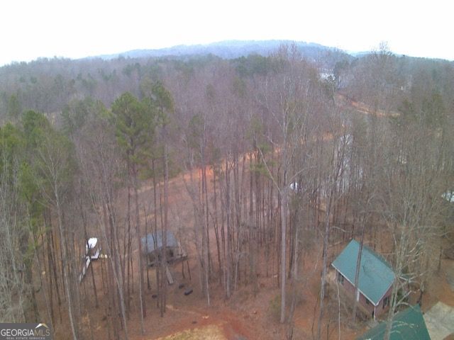 410 Lakeside Hills Road, Martin, GA 30557