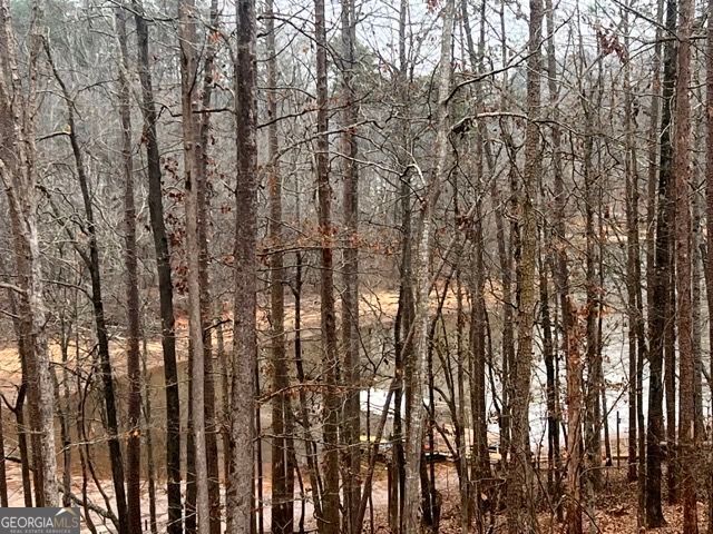 410 Lakeside Hills Road, Martin, GA 30557