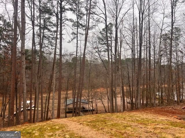 410 Lakeside Hills Road, Martin, GA 30557