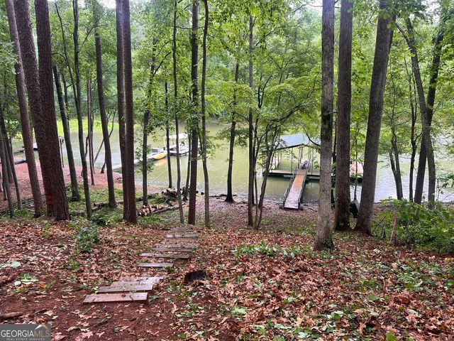 410 Lakeside Hills Road, Martin, GA 30557