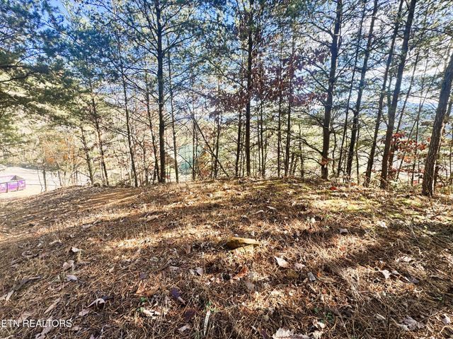 Red Bone Way, Sevierville, TN 37876