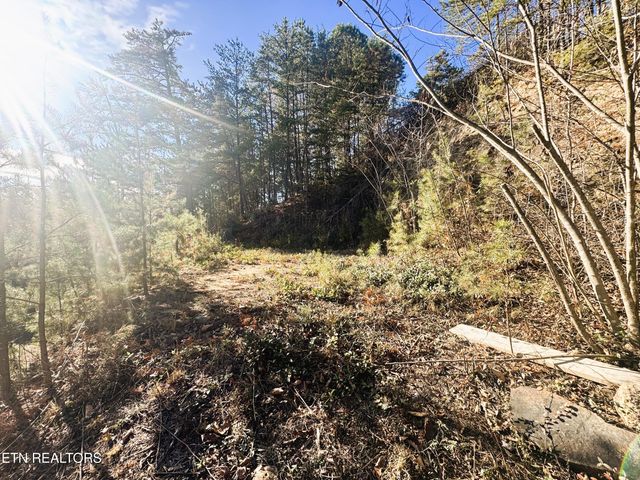 Red Bone Way, Sevierville, TN 37876