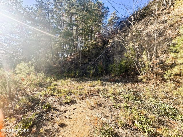 Red Bone Way, Sevierville, TN 37876