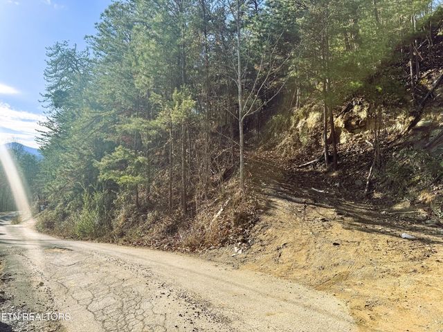 Red Bone Way, Sevierville, TN 37876