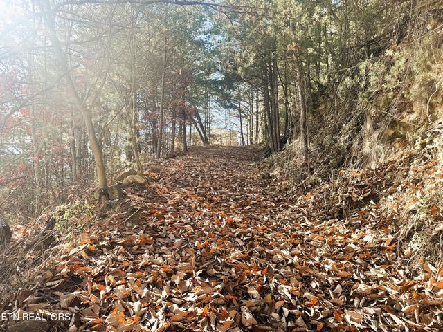 Red Bone Way, Sevierville, TN 37876