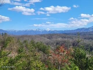 Red Bone Way, Sevierville, TN 37876
