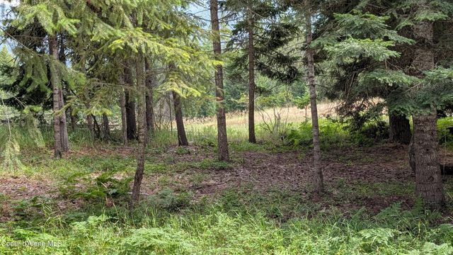 97 Leelah Ln, Bonners Ferry, ID 83805