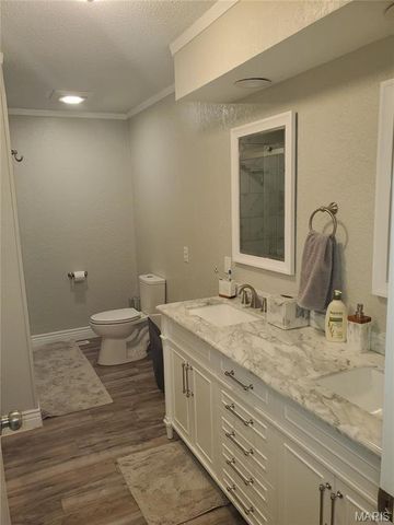 123 Holmes Drive, Sikeston, MO 63801