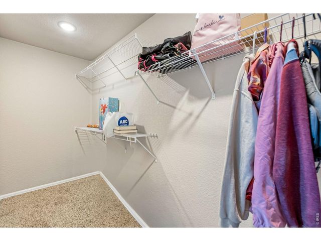 1512 Lake Vista Way, Severance, CO 80550