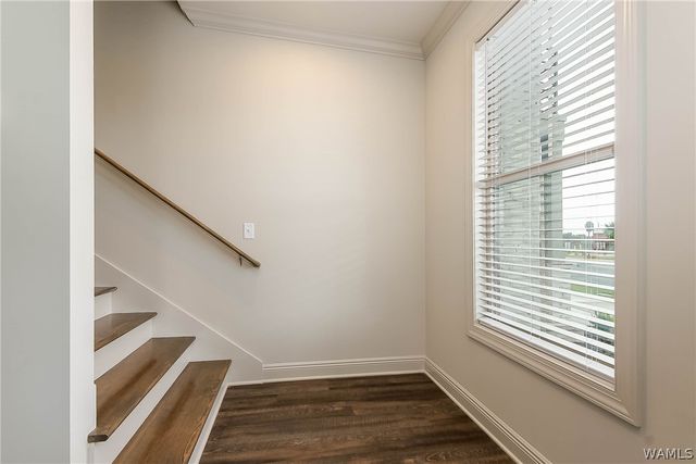 365 16th E, Tuscaloosa, AL 35401